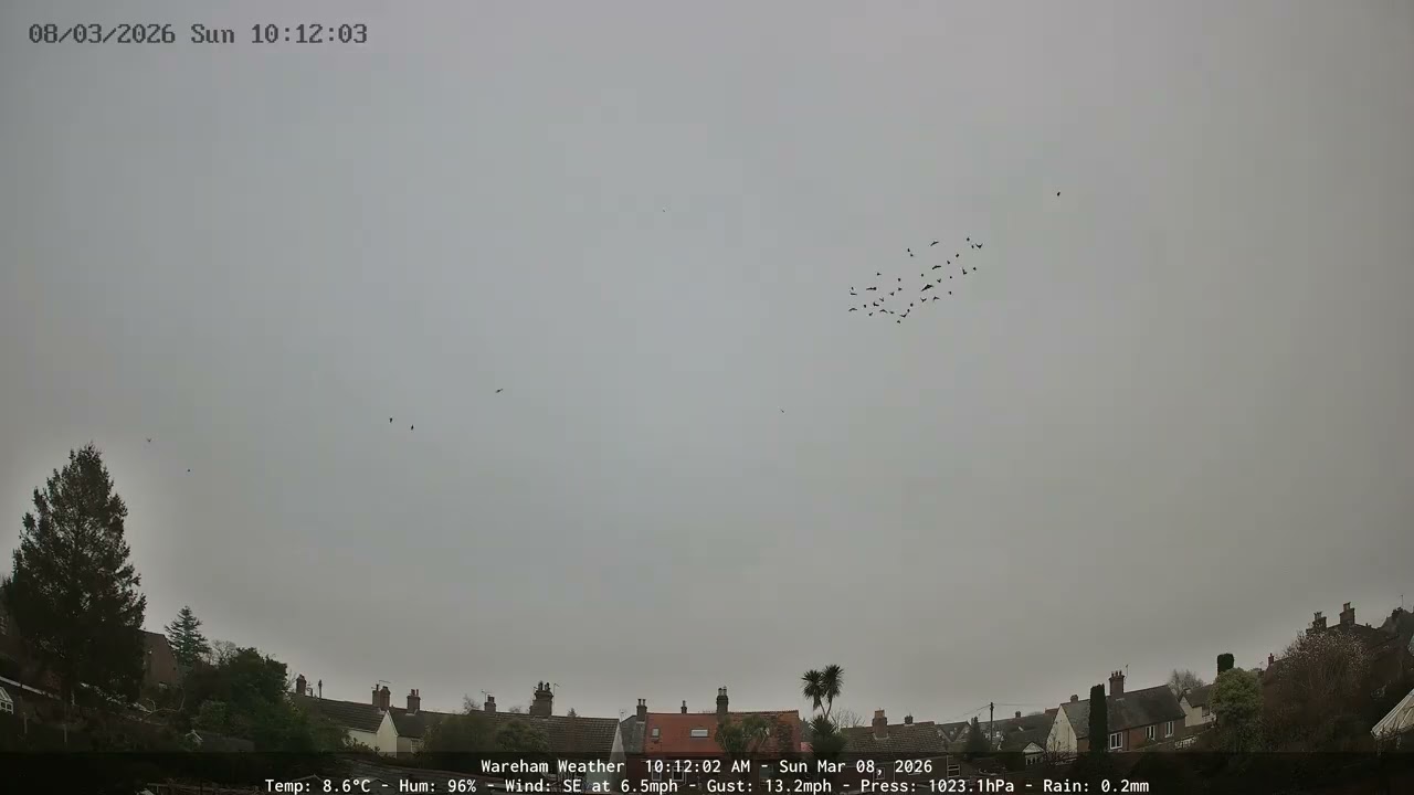 Wareham - Daily Time-lapse - 08/03/2026