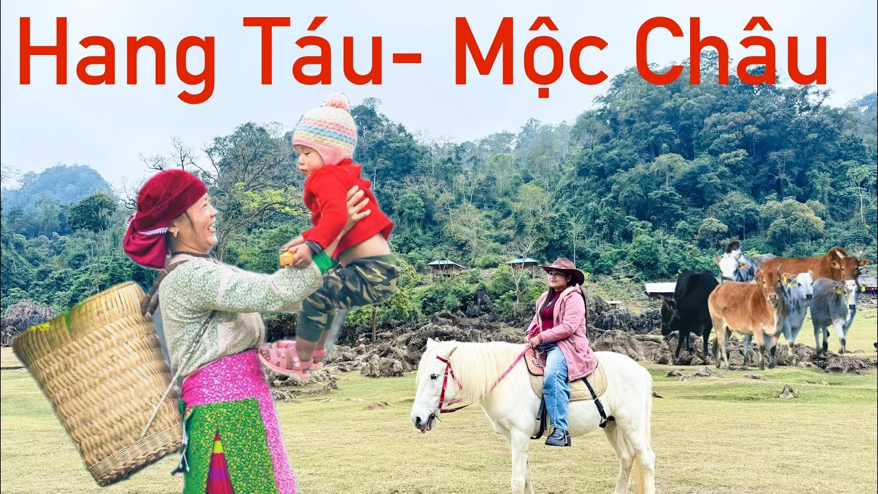 Ngôi Làng Nguyên Thủy Hoang Sơ Ở Mộc Châu - Hang Táu #travel #dulich