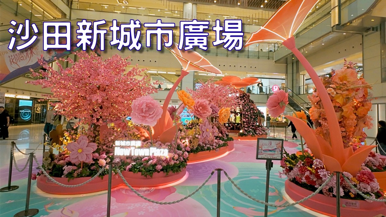 香港沙田新城市廣場四圍行