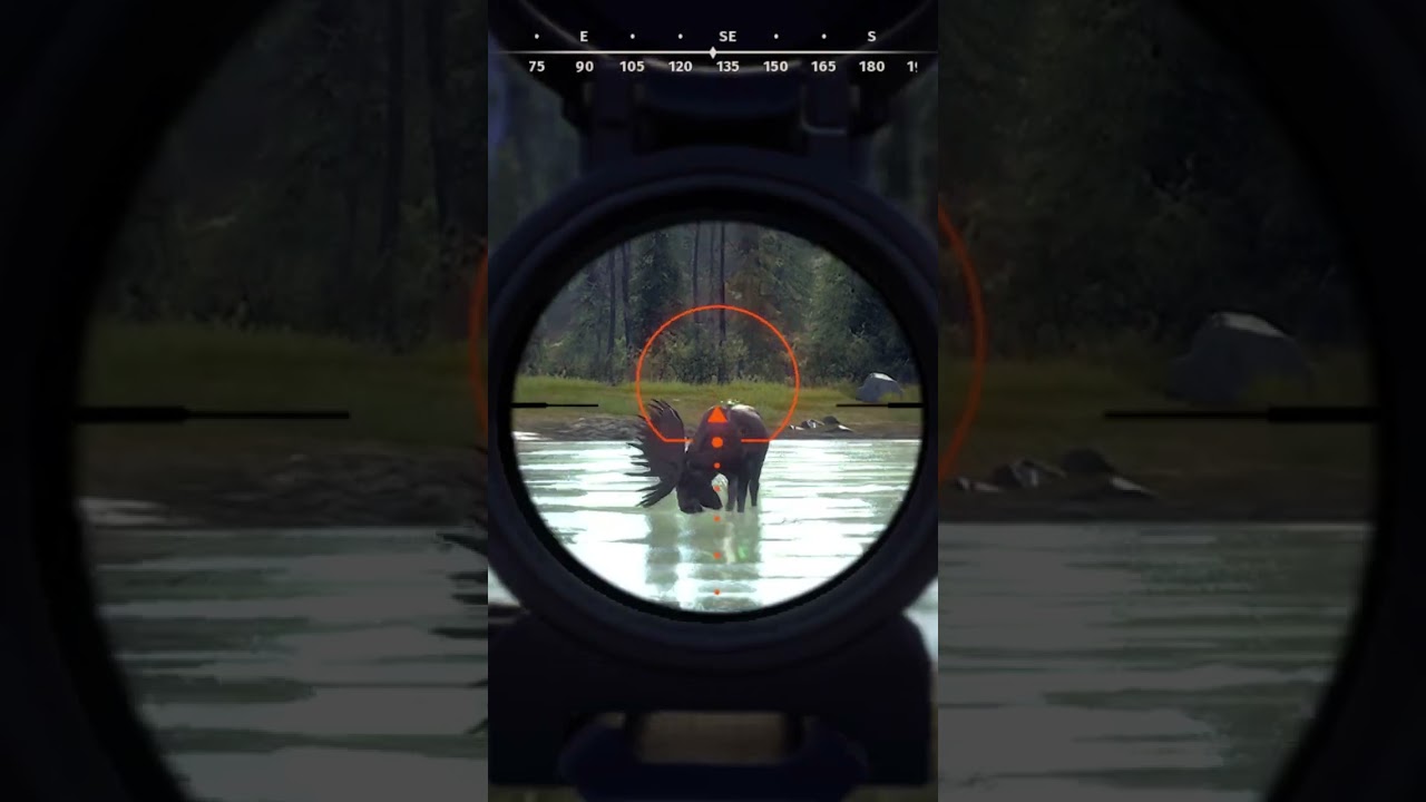 Aurora Shores Way of the Hunter In a Nutshell #wayofthehunter #woth #huntinggames