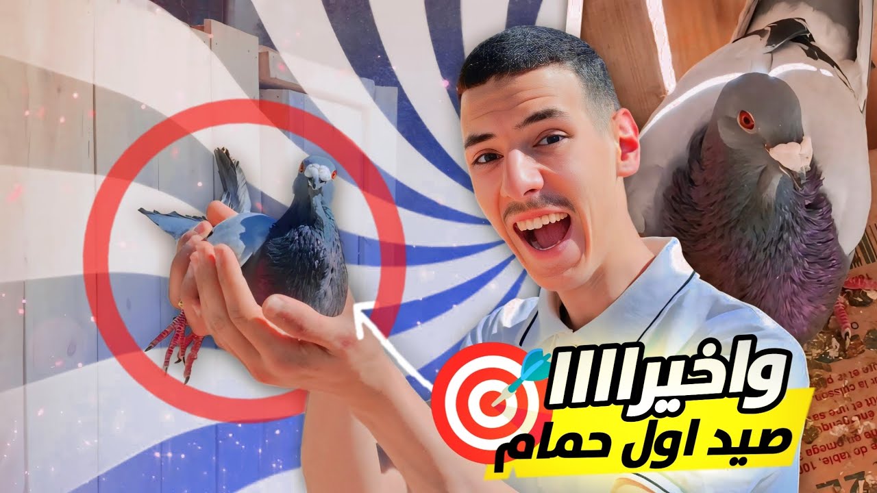 صيدنا اول حمام لي تشفر ليا من سطح المنزل 🎯🕊️ | والحمد لله رجع ليا ذكر ديال خنيسي❤️‍🩹✨