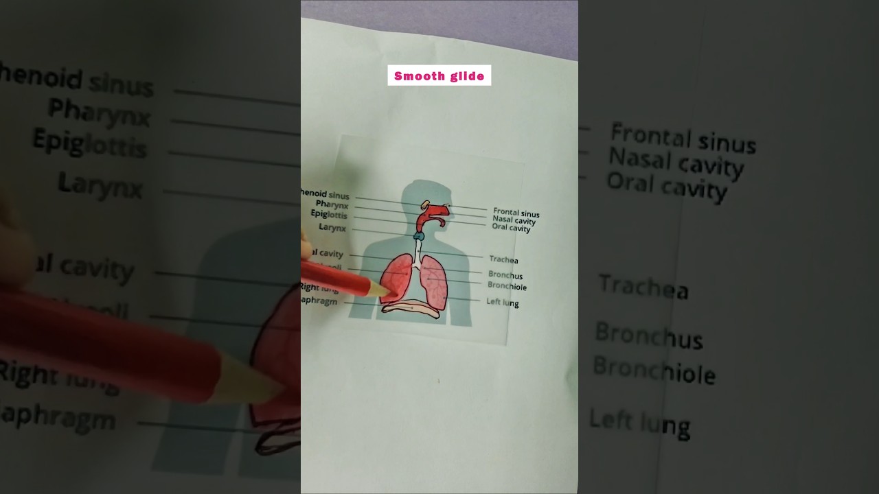 Drawing Science Diagram on Clear Sticky Notes 🔬 
