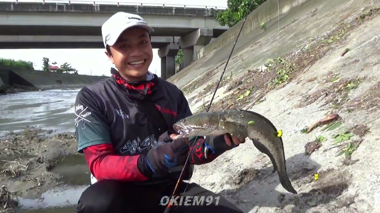 Mancing casting di sungai liar menggunakan umpan softfrogh di sambar ikan gabus babon