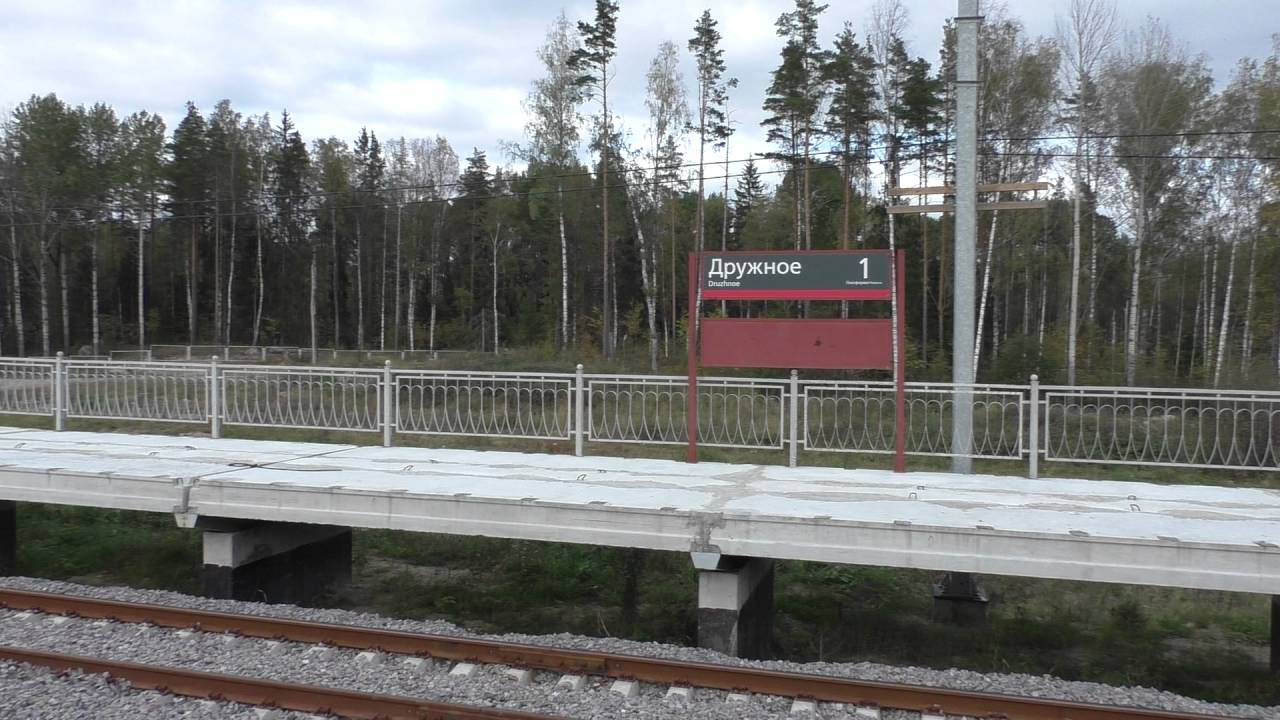 Линия Лосево-Каменногорск, станция Дружное (3).