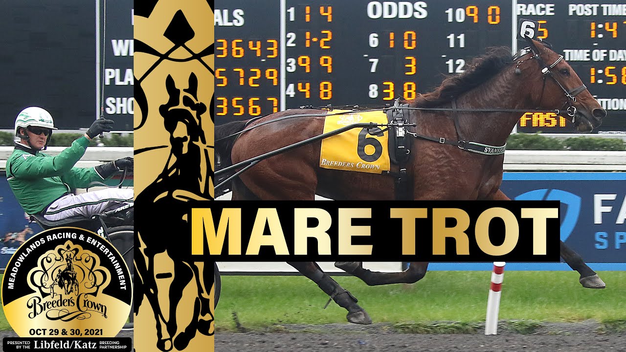 2021 Breeders Crown - Felicity Shagwell S - Mare Trot