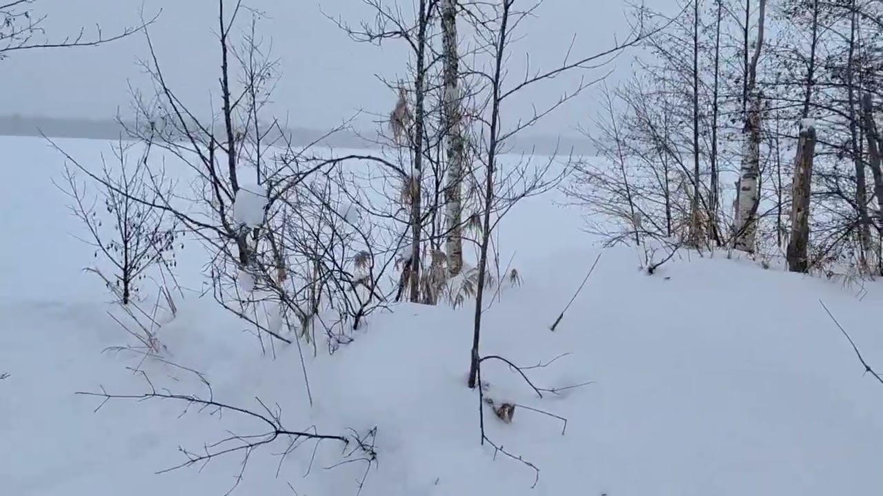 To the lake ski