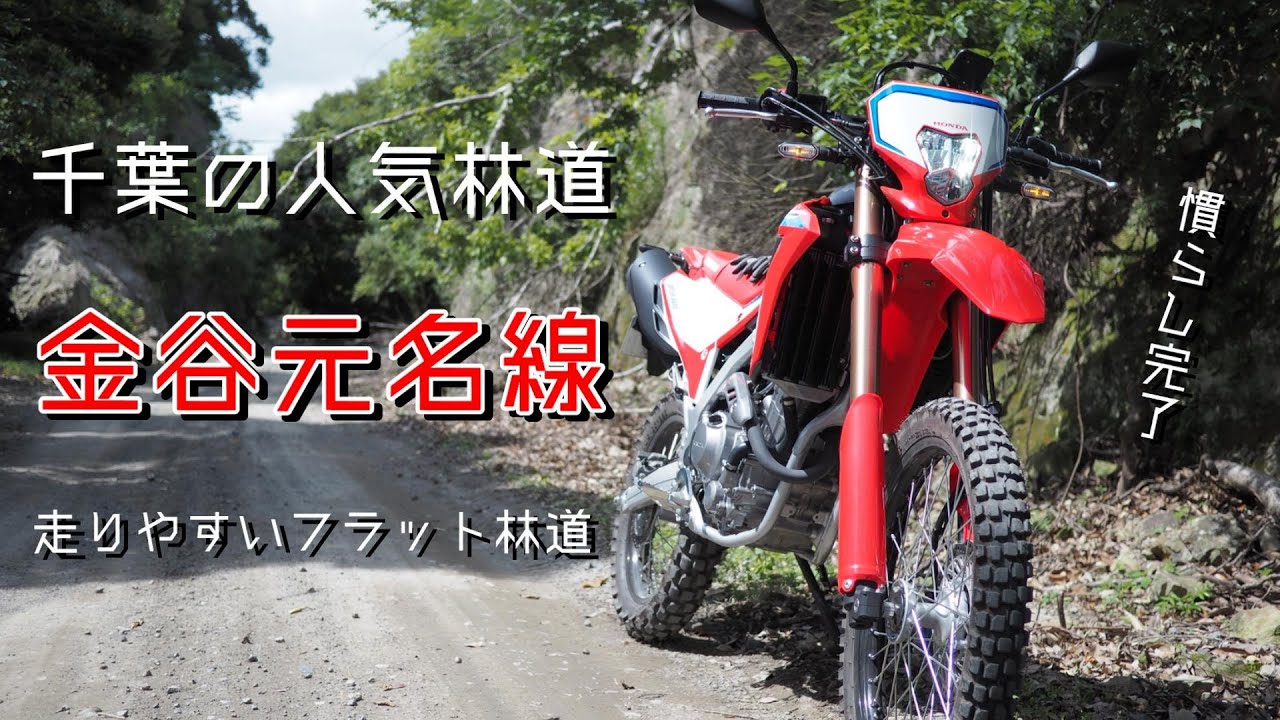 【CRF250L】林道金谷元名線【走りやすい】
