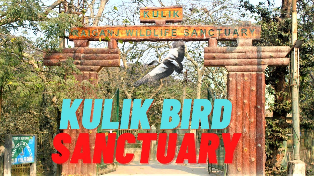 Raiganj Kulik Forest || Kulik Bird Sanctuary || কুলিক পাখিরালয়, রায়গঞ্জ || Debanjan Pathak Vlogs
