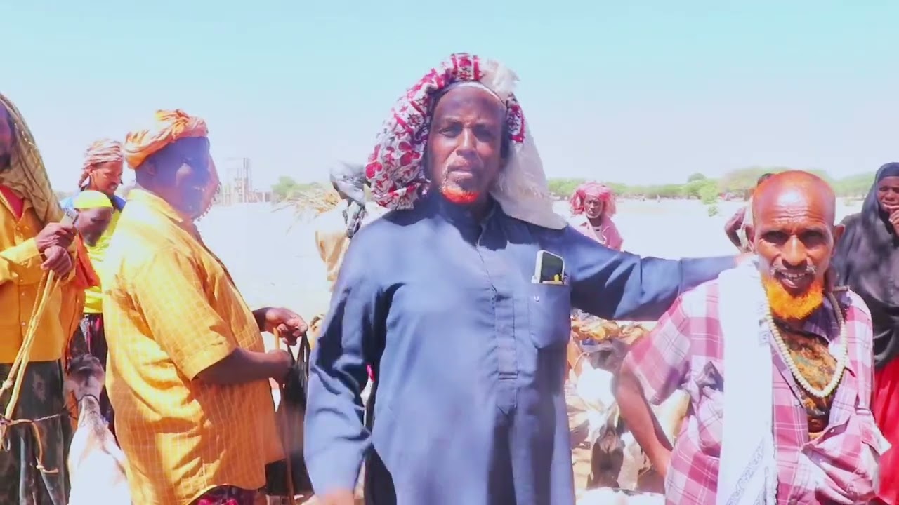 Suuqa xoolaha Degmada Bardaale ee Gobolka baay