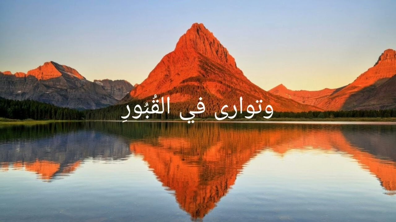 قصيدة غداً أخضر في ضفاف النيل للشاعر محمد نجيب محمد علي