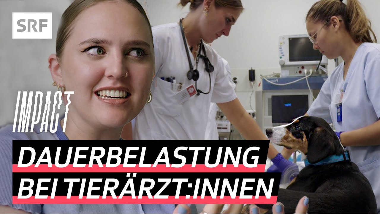 Tiermedizin unter Druck &ndash; Die hohe Suizidrate in der Veterin&auml;rmedizin | Impact | SRF