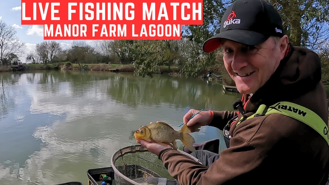 Рыбалка на живца в лагуне Манор Фарм, IP6, 9 фунтов, #matchfishinguk