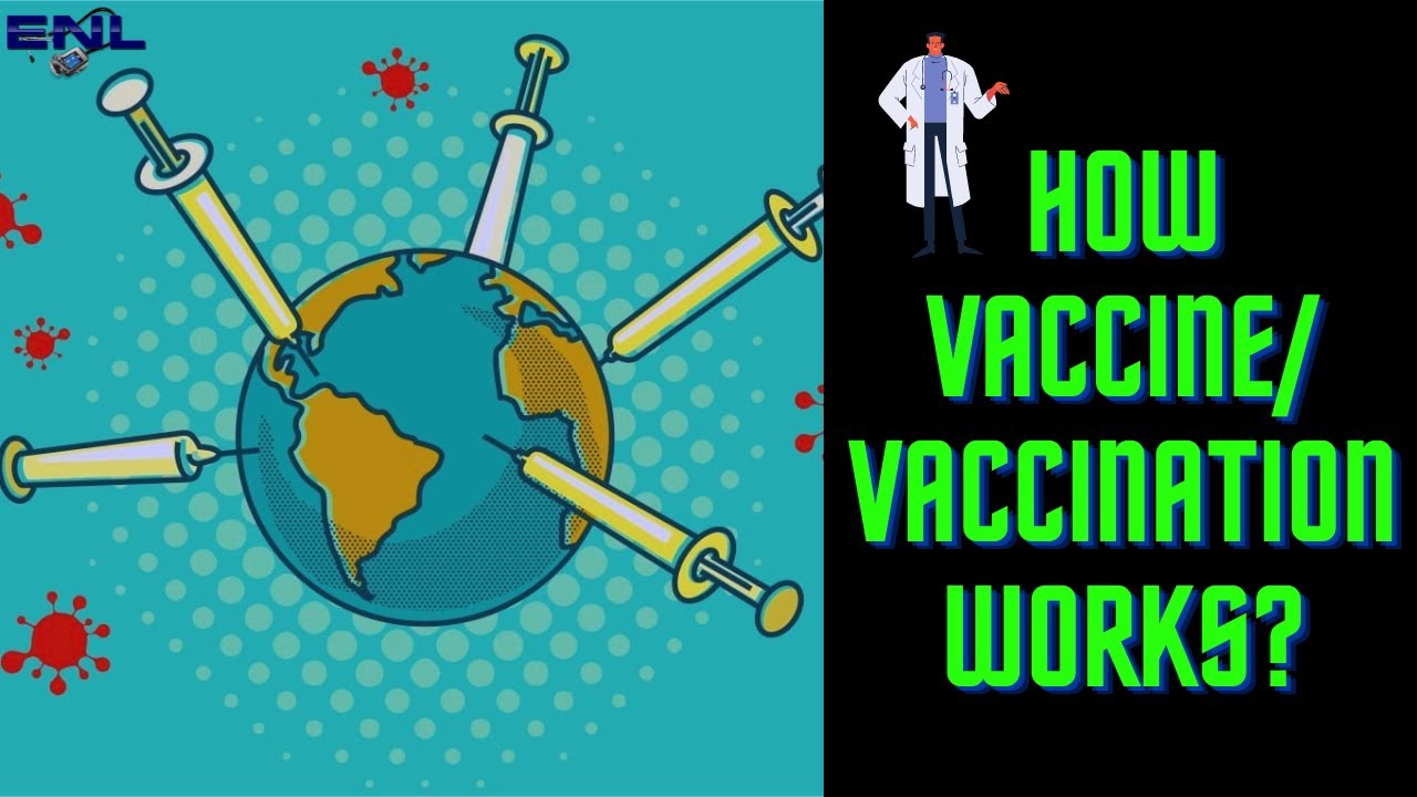Vaccines | How vaccine/vaccination works ? | Easy Explanation