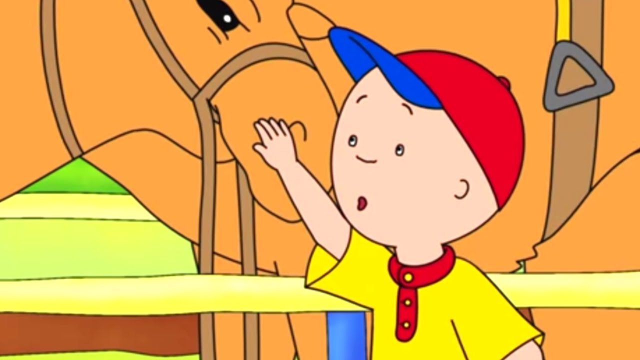 Caillou em Português | Caillou e o Camelo | 522 | Nova Temporada | Desenho Animado
