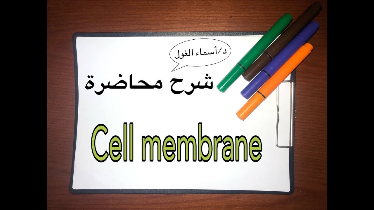 شرح محاضرة | cell membrane