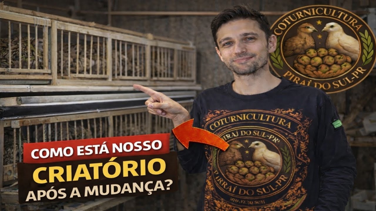 Como está ficando nosso criatório após a mudança?