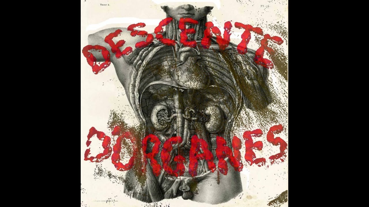 DESCENTE D'ORGANES - démo 2023 (Haute Loire)