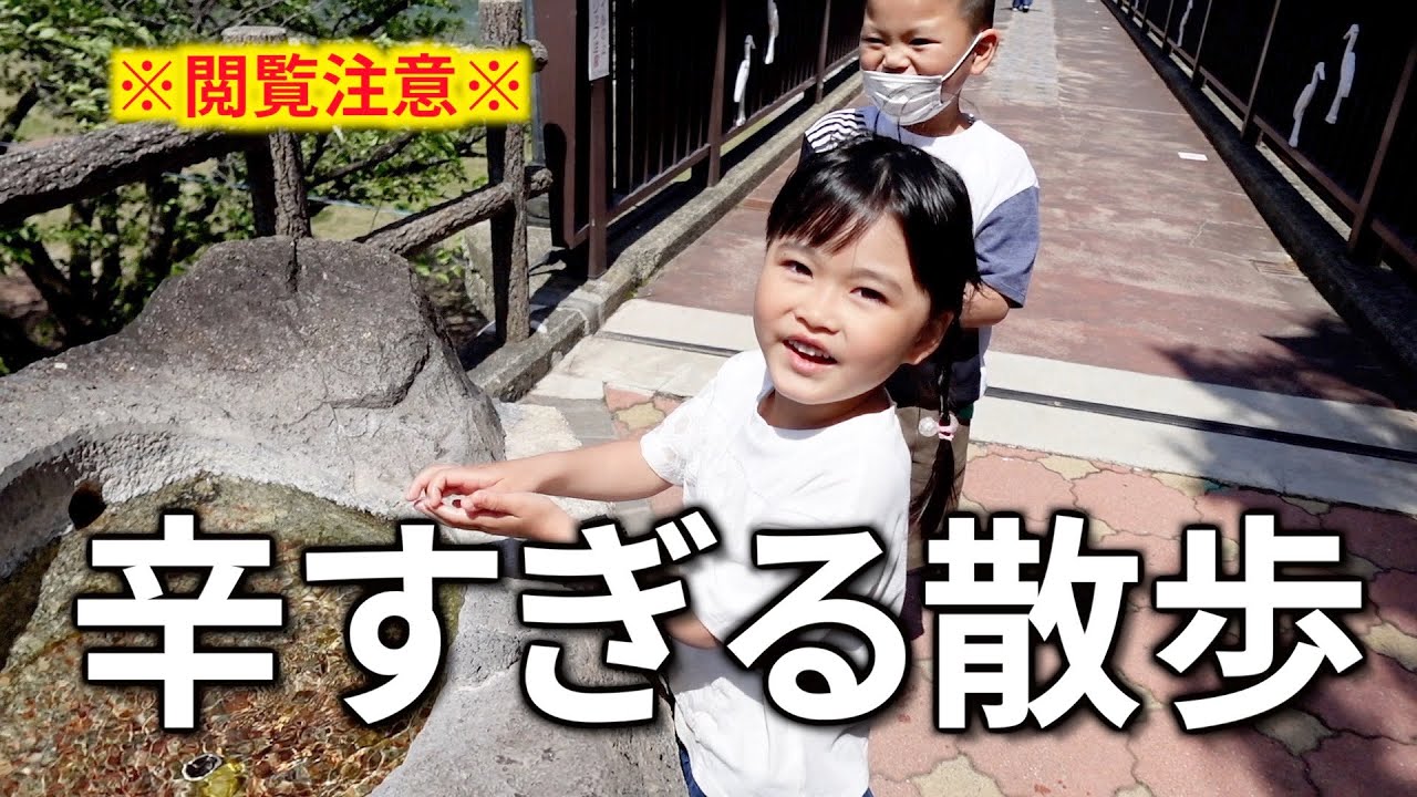 【閲覧注意】自閉症息子と街を探索！地獄の散歩になりました【下呂】