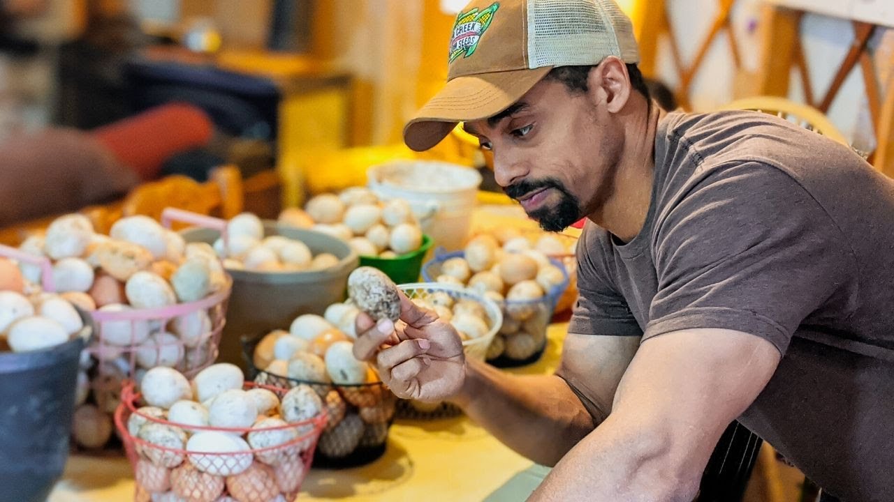 WHAT AM I GOING TO DO with all these DIRTY EGGS?