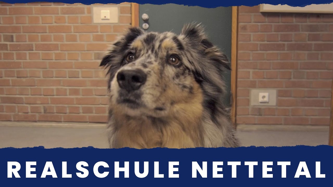 Städtische Realschule Nettetal – Imagefilm