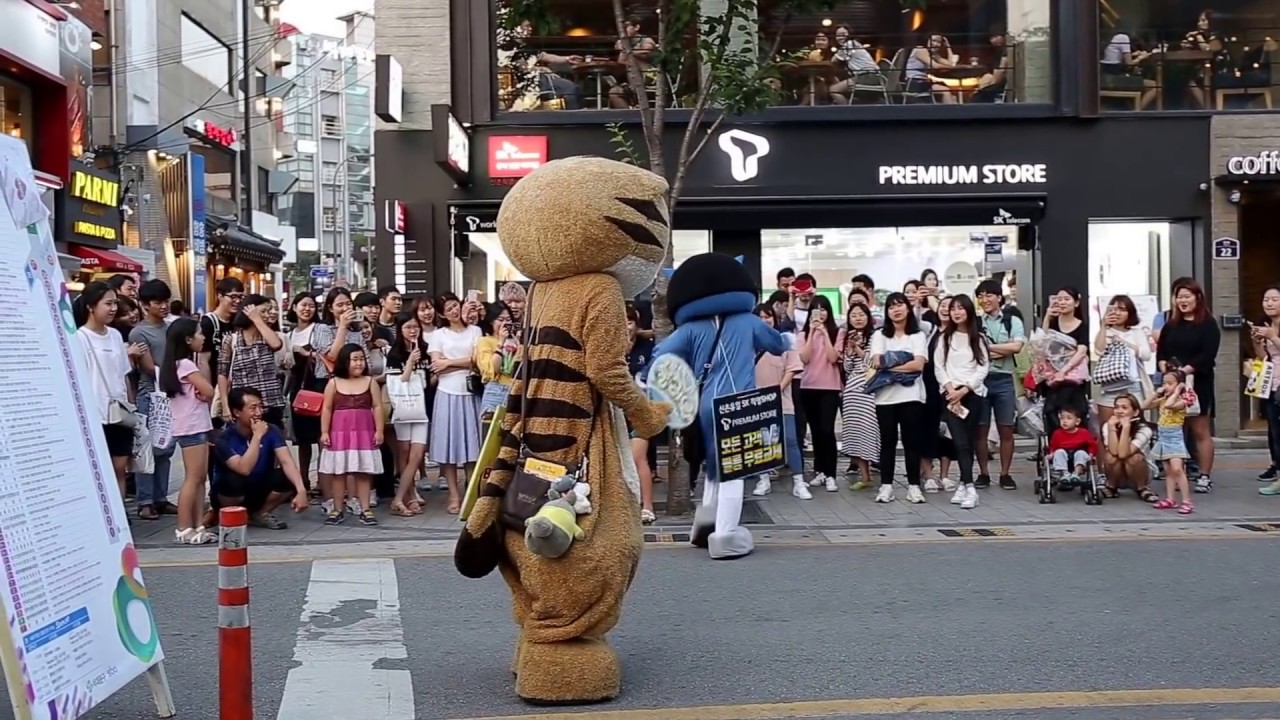 cococat&JHKTV]신촌명물고양이 케이팝댄스댄스 sin chon special cats k pop dance (two nice  dance)  Hey Sailor (song)