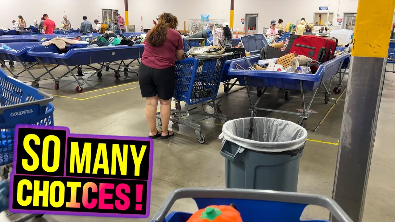 CAN YOU BE A RESELLER WITH ONLY $10 TO SPEND? YES! Thrifting at The Goodwill Outlet BINS!