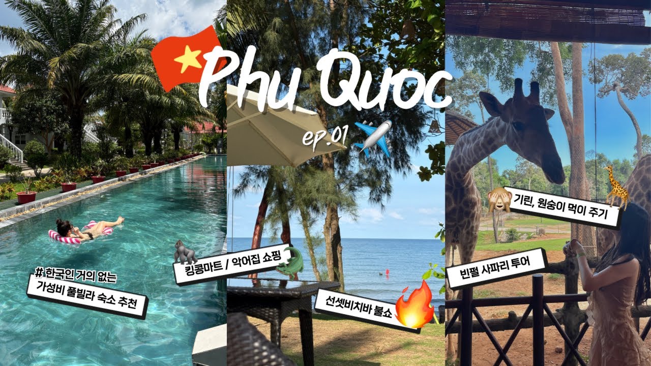 [VLOG-6]🇻🇳 푸꾸옥 여행 ep.01 🦒🙈🔥 | 머큐리 푸꾸옥 리조트 | 빈펄사파리 | 선셋 비치바 | 🛍️ 킹콩마트, 악어집, 즈엉동 야시장 | 🐽 안바카페, 껌냐 푸꾸옥