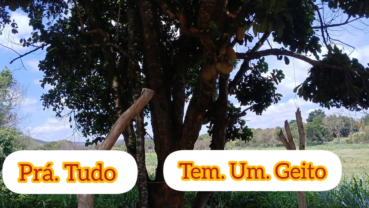 Prá tudo há um jeito não ficamos sem nosso café dá manhã 🌄 