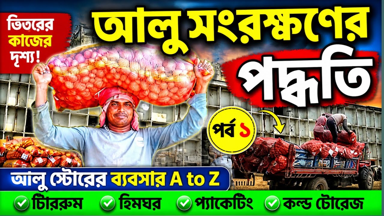 আলু সংরক্ষণের পদ্ধতি । ভিতরে কাজের দৃশ্য। আলু স্টোরের ব্যস্ত দিন পর্ব ১।