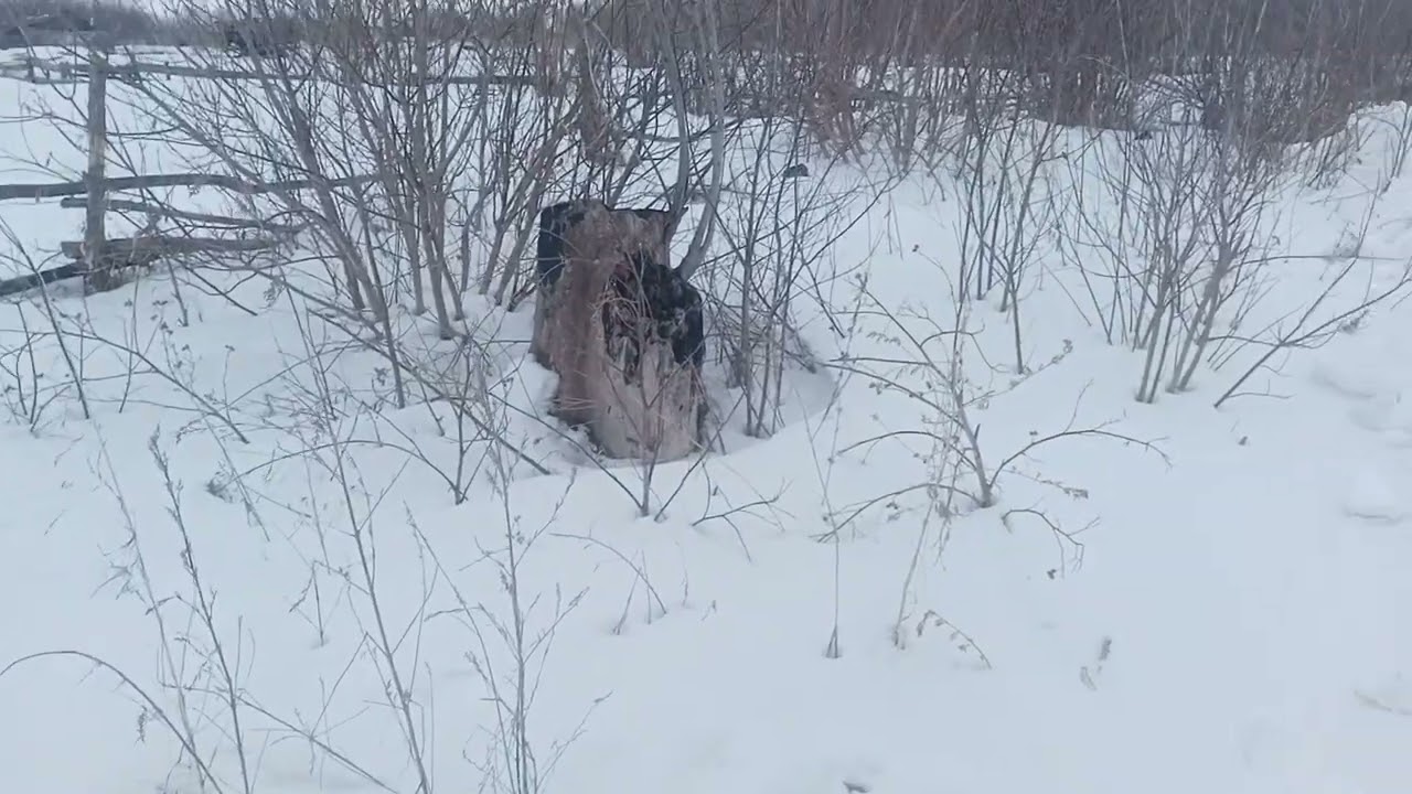 Т 40 пробивает проезд.
