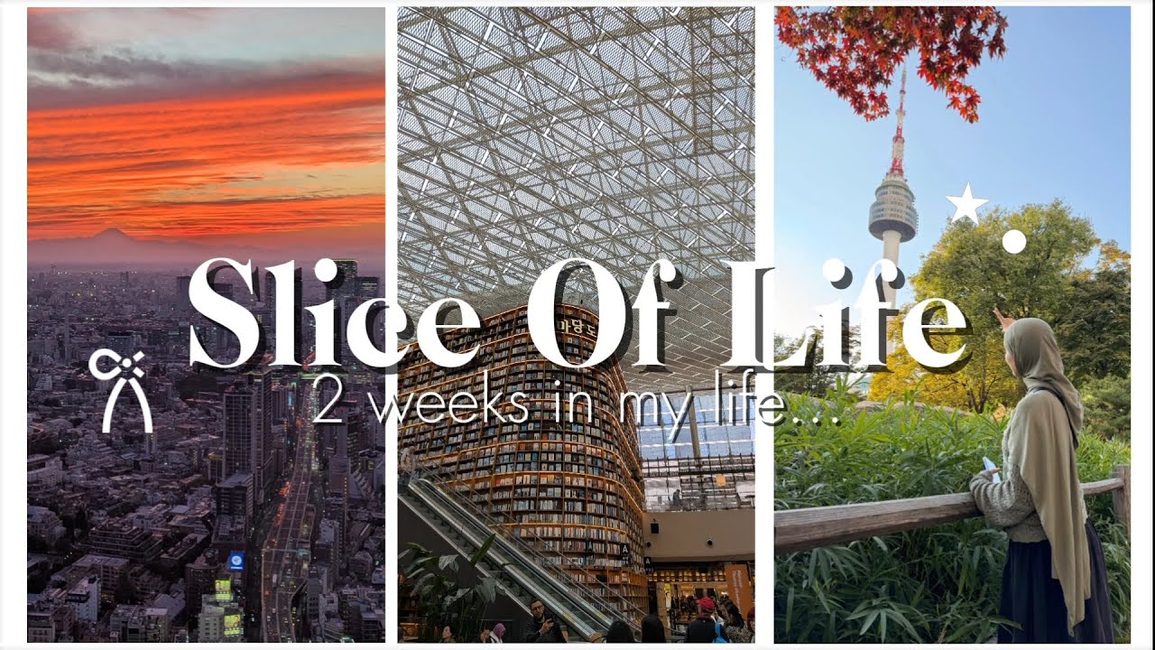 THE BIGGEST TRIP OF MY LIFE (South Korea AND Japan) !!! || chill vibes, monuments, landscapes ...