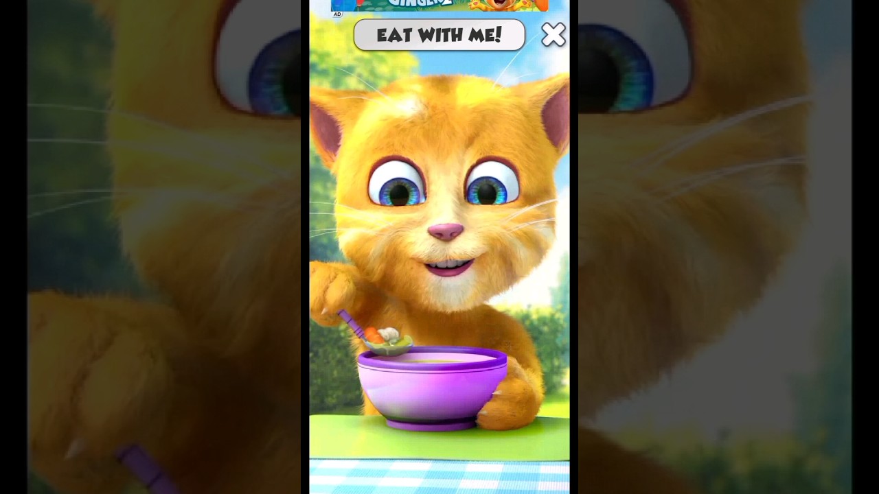 Talking Ginger eating food😋 🍦🧁🍰🥝🍄🥦🧊🍧🍨