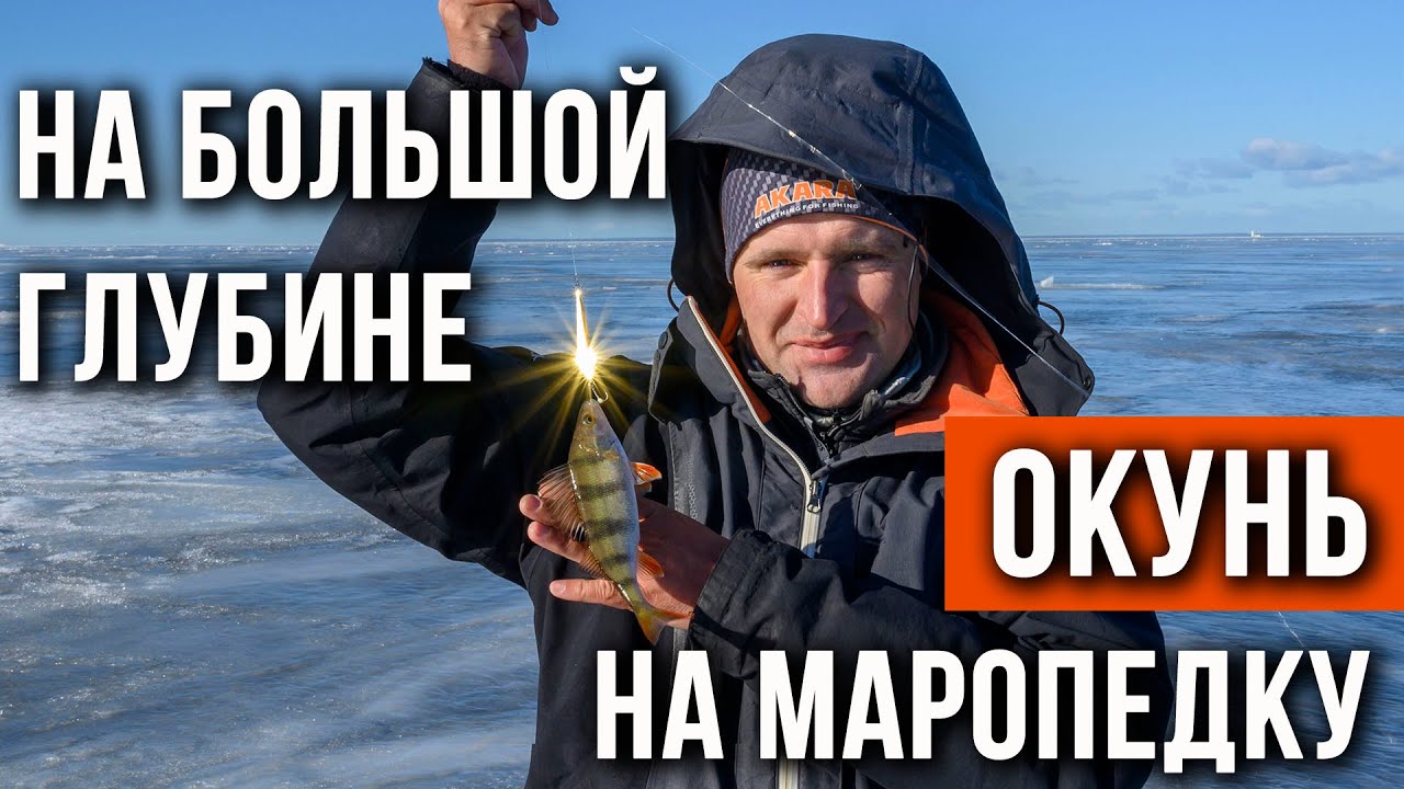 Ловля окуня на 