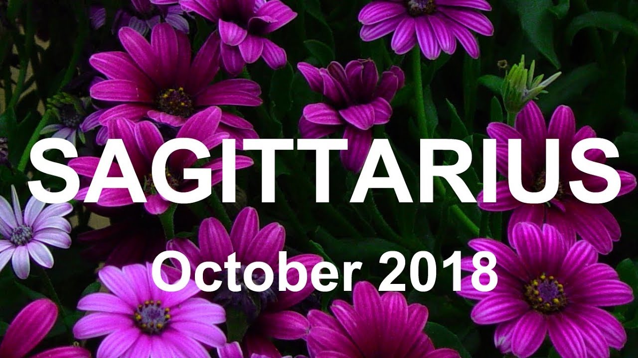 SAGITTARIUS OCTOBER 2018 - A NEW LIFE PERSPECTIVE! General Tarot Reading
