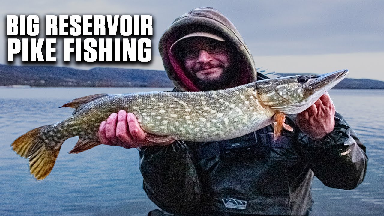 PIKE FISHING WITH DEADBAITS - after dark chunk!