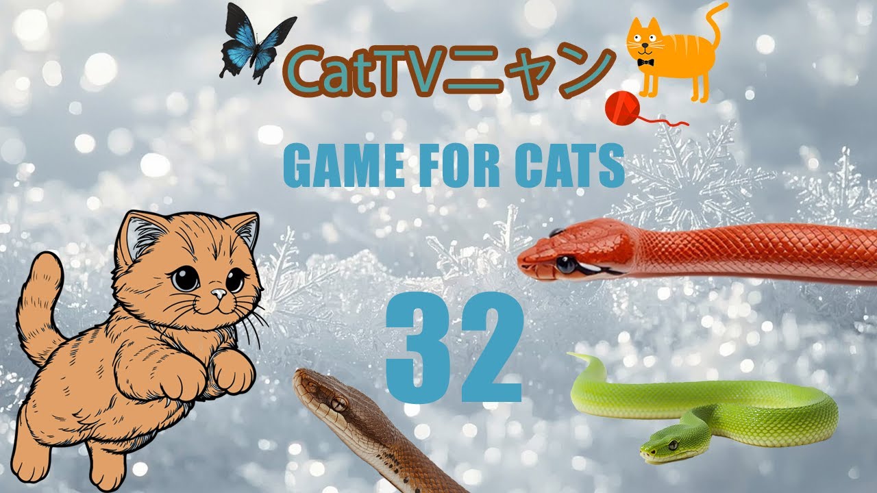 猫の本能全開！4時間の狩りタイム🎯 | CatTVニャン #32