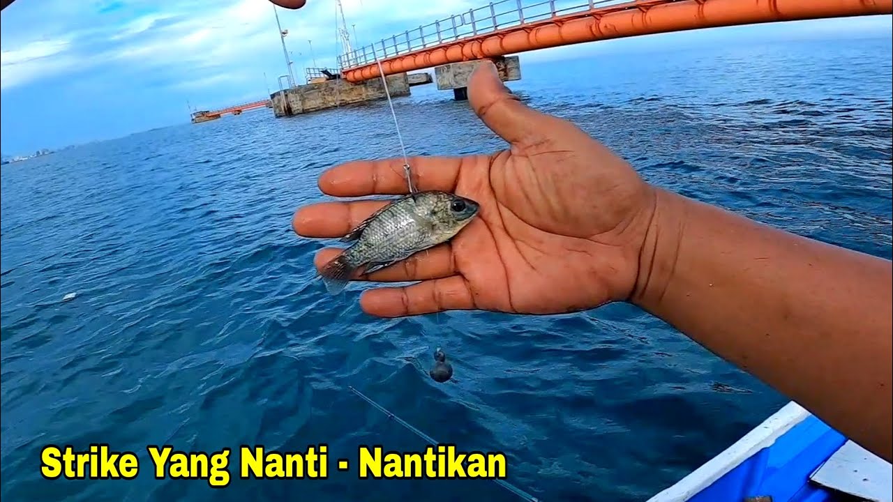 IKAN BESAR, Strike Yang Ku Nanti - Nantikan