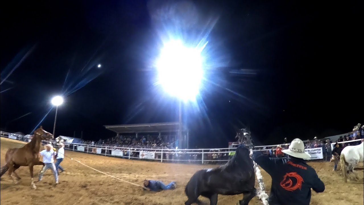 Wild Horse Race Cuba, NM 2022
