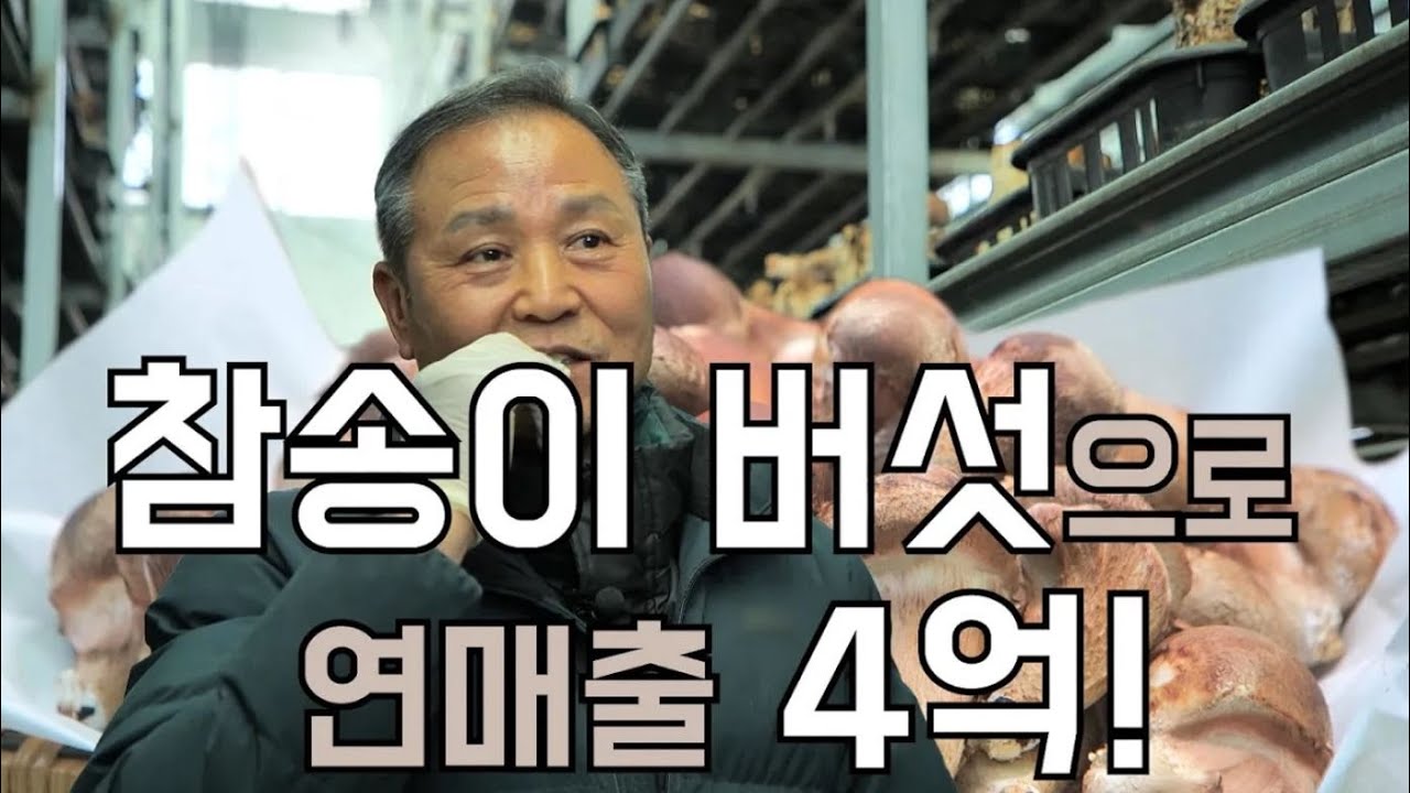 [역전의부자농부 337회] 참송이버섯 농장 운영으로 연 매출 4억 원! 충남 천안 송인천 부자농부