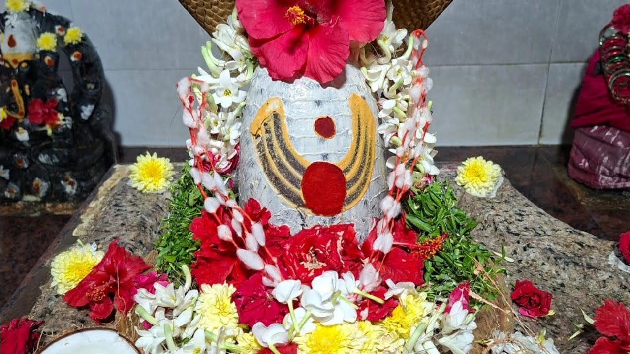 దినకరా శుభకార @BhavaniBhajanaTv 🙏