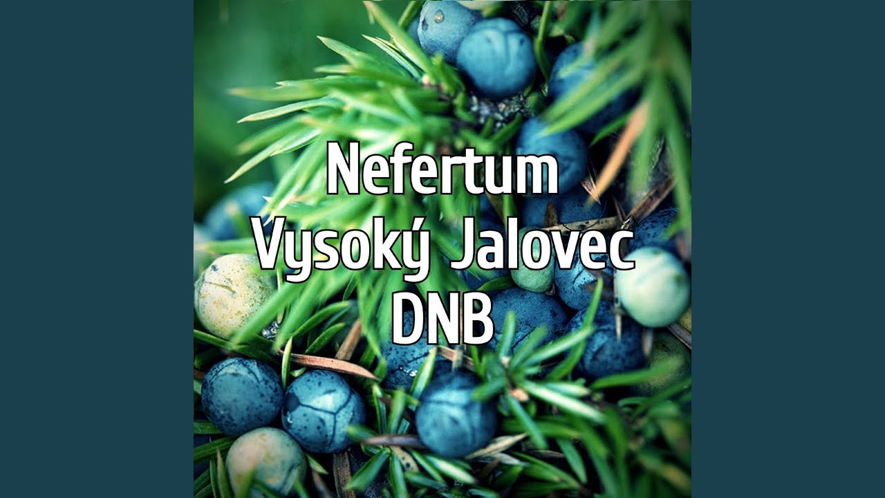 Vysoký Jalovec Dnb