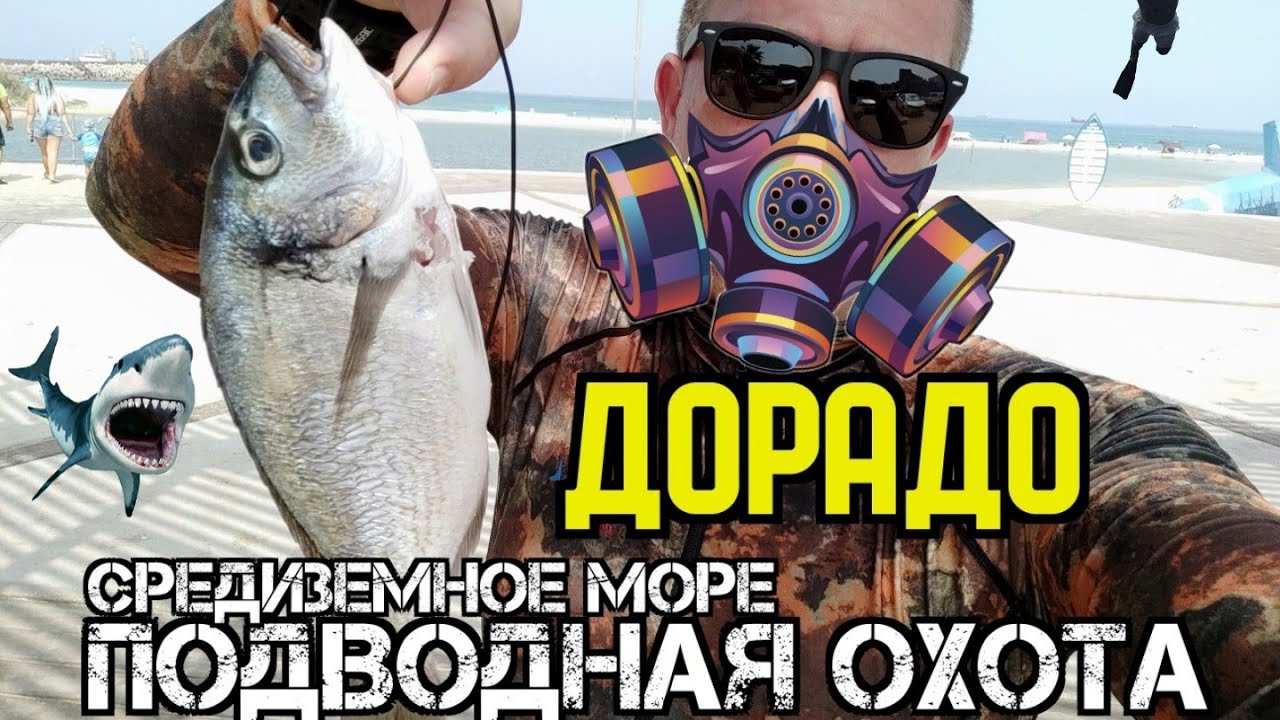 ПОДВОДНАЯ ОХОТА НА ДОРАДО СРЕДИЗЕМНОЕ МОРЕ