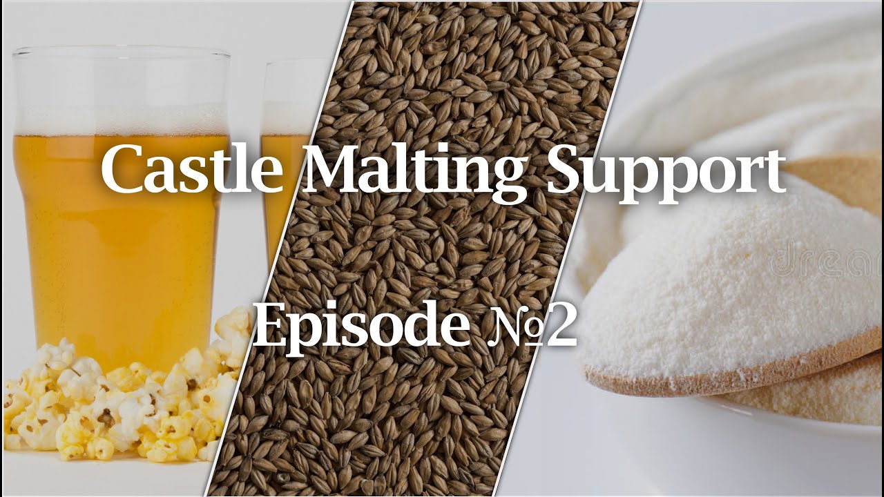 Do our Malts Require a Protein Rest | Is lactose sugar | Castle Support 2