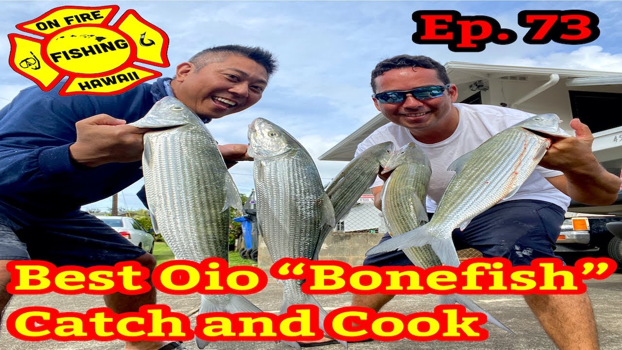 BEST DAY FISHING IN HAWAII,OIO BONE FISHING IN HI. Fish Cake, Fishing Hawaii, Dunking for O'io, Ep73