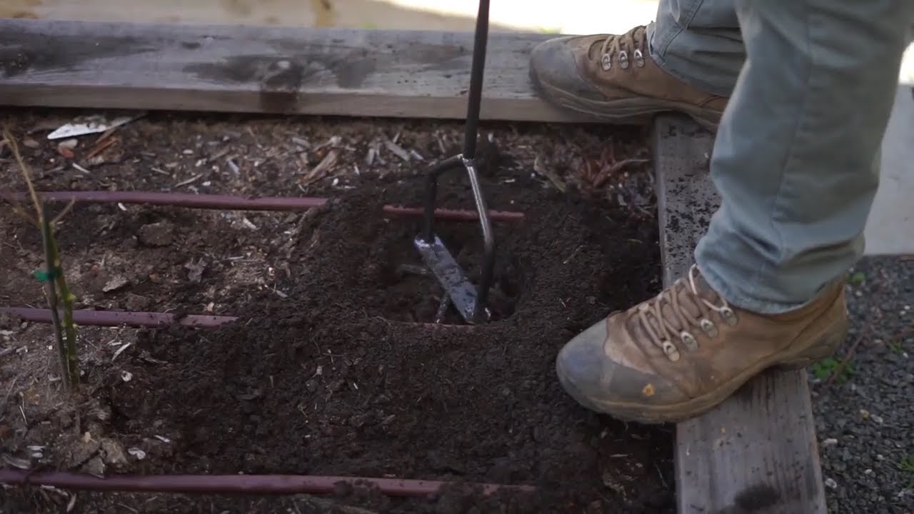 3 best Garden tools on amazon