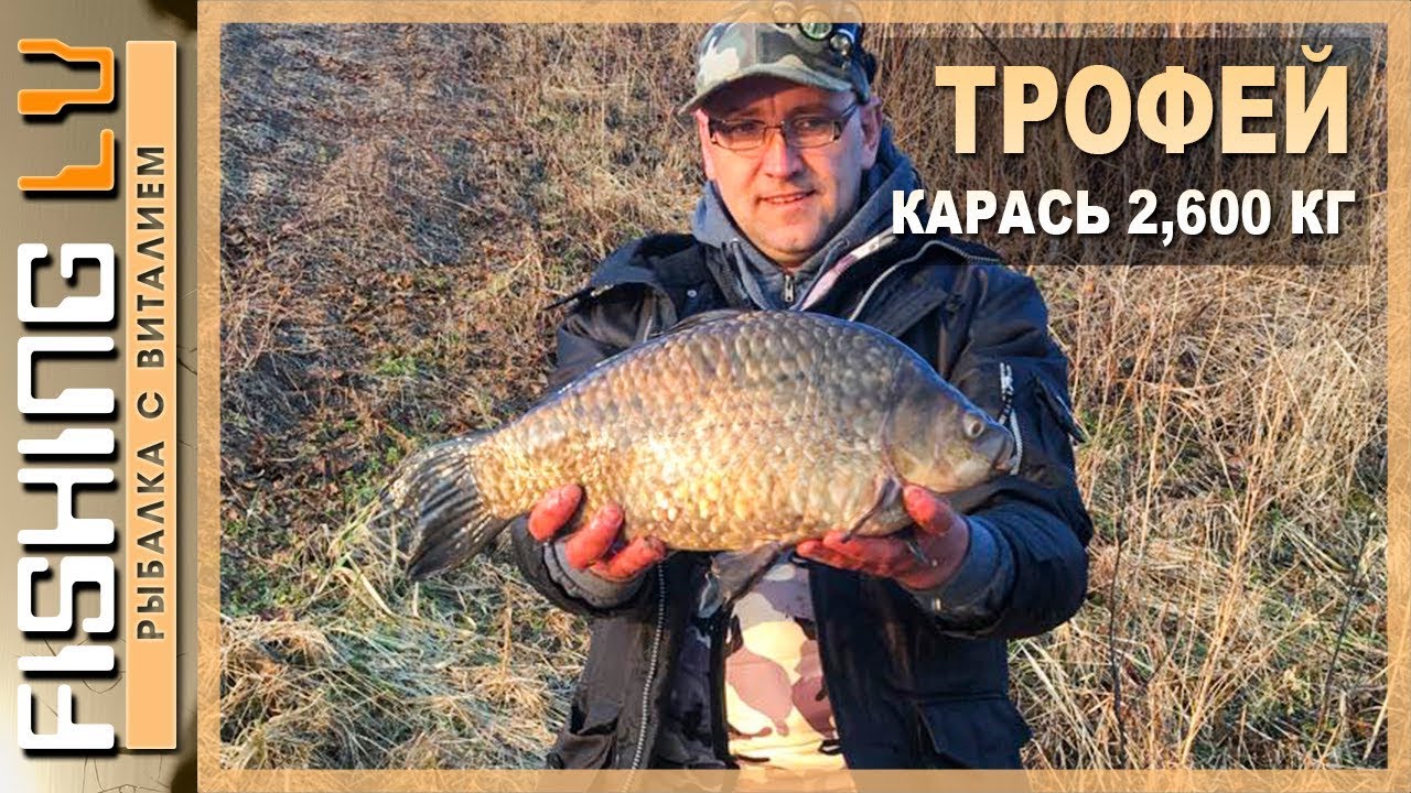 Улов трофейного карася, заводь на реке, рыбалка на линя | Karūsu cope! 2,605 kg, un Līnis