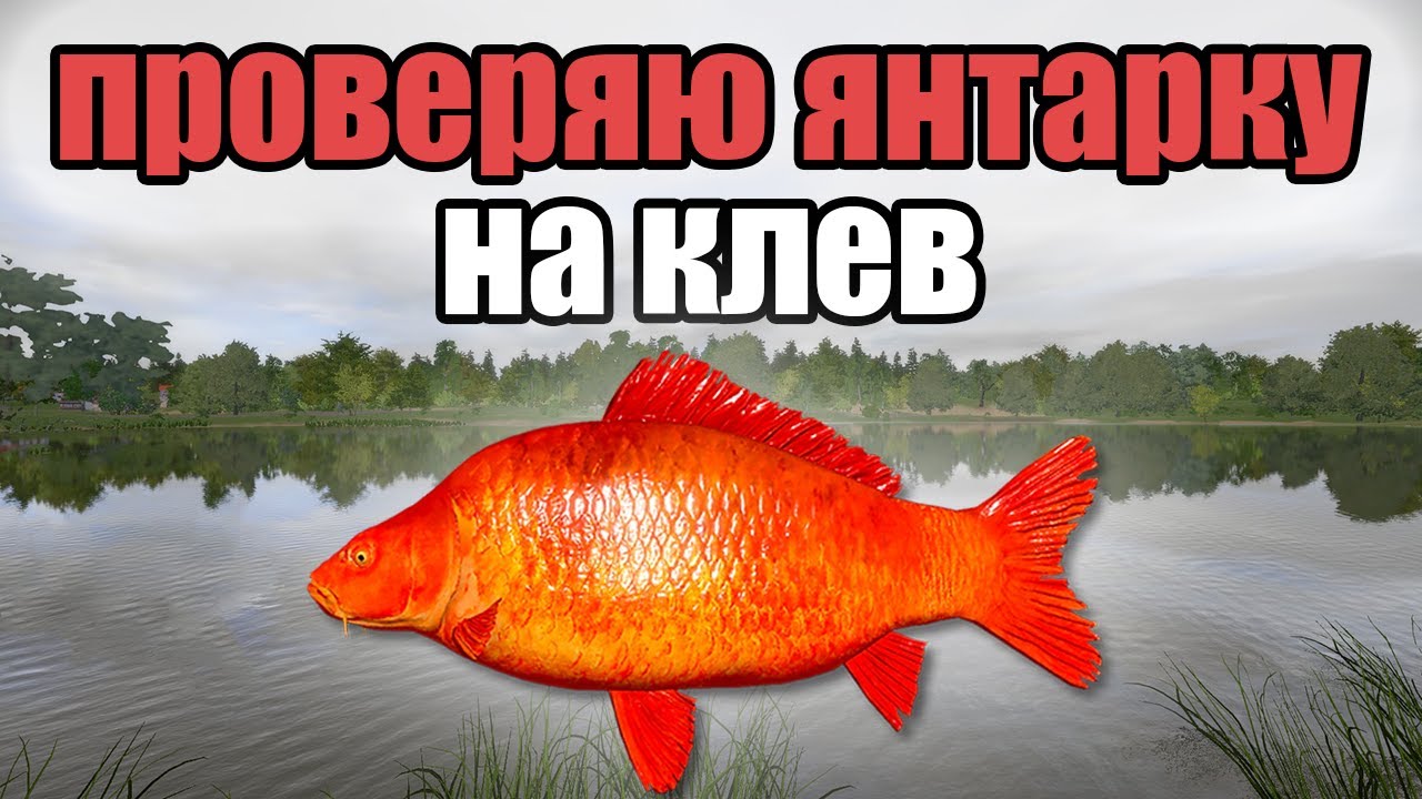 РР4 СТРИМ • ПРОВЕРЯЕМ ТОЧКИ НА НОРВЖЕСКОМ МОРЕ  И ФАРМИМ СЕРЕБРО  •   РУССКАЯ РЫБАЛКА 4