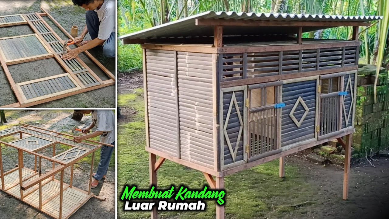 MEMBUAT KANDANG AYAM BANGKOK OUTDOOR | Kandang ayam luar rumah