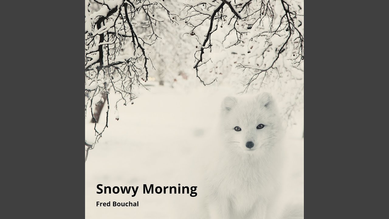 Snowy Morning