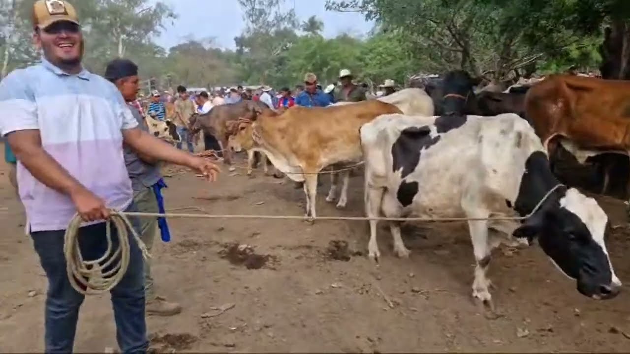 tiangue de El Tránsito, San Miguel Oeste, martes 14 de mayo 2024
